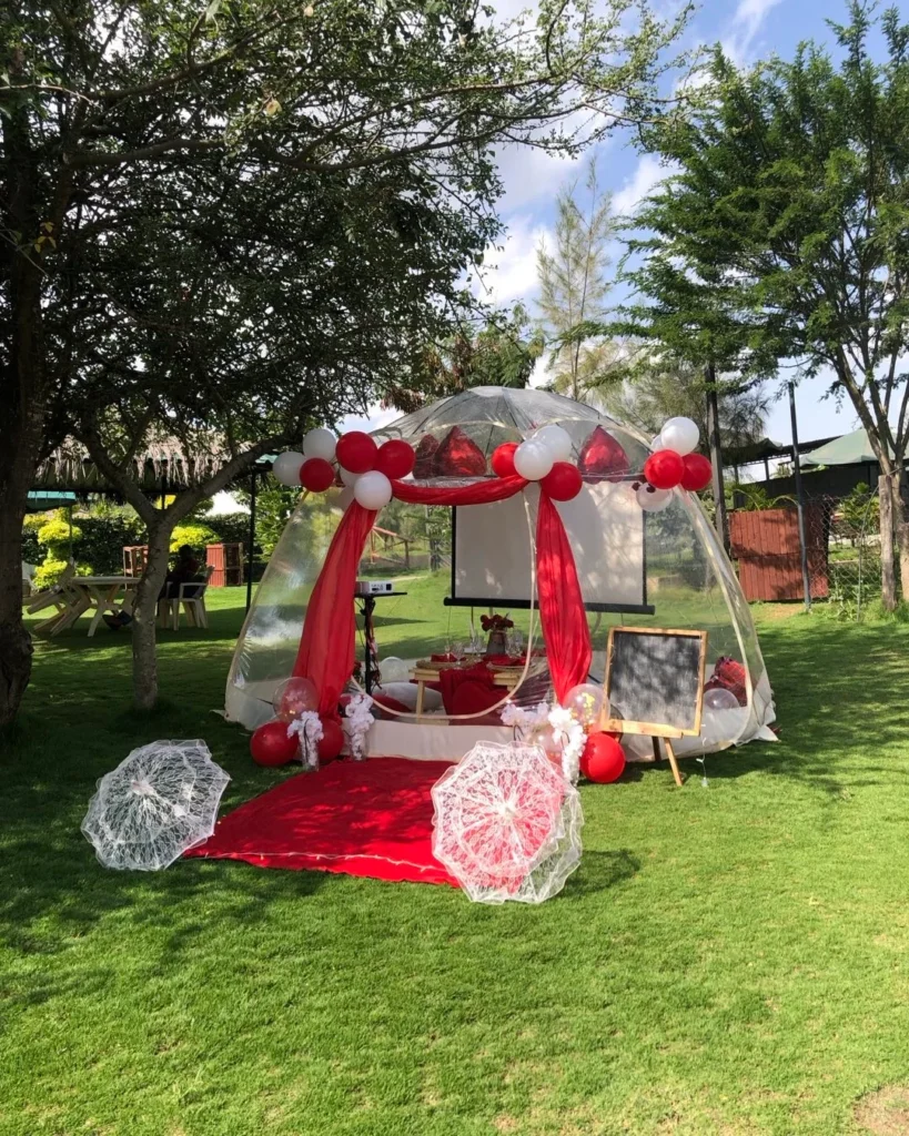 birthday bubble tent