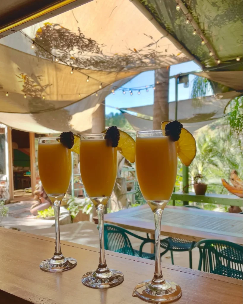 Mimosas with a Twist
